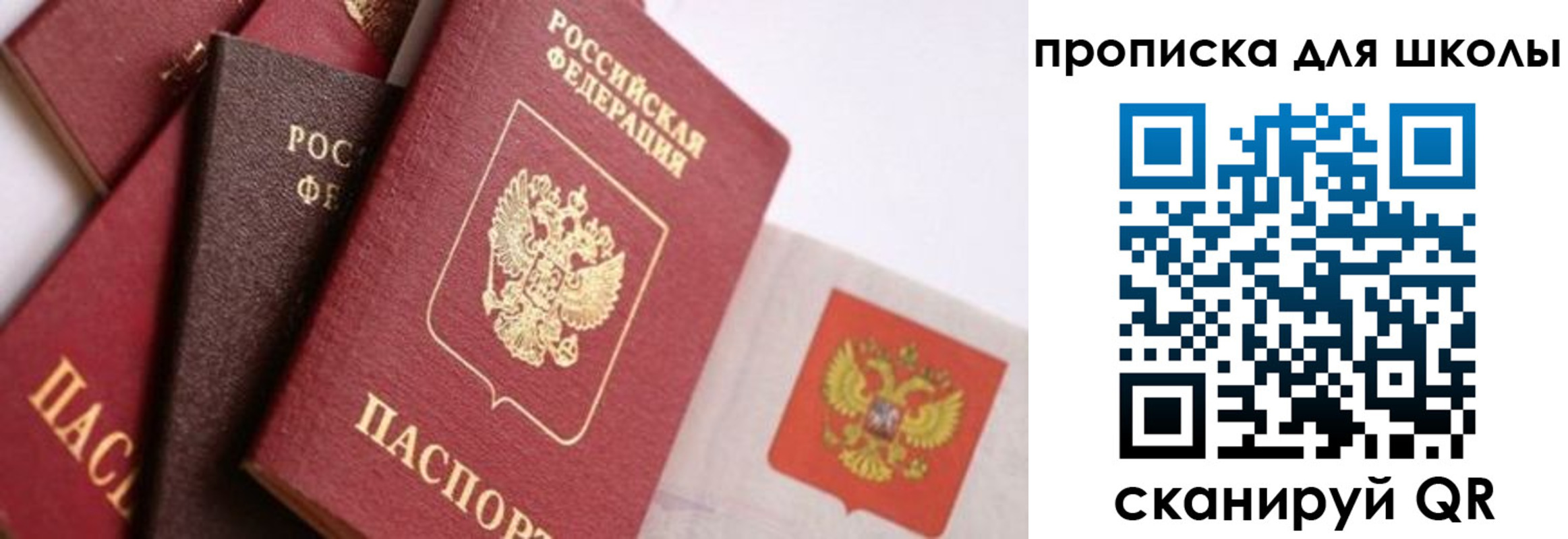 прописка поиск в Дальнегорске